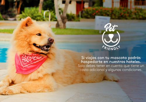 Admite mascotas Hotel ESTELAR Milla de Oro Medellin